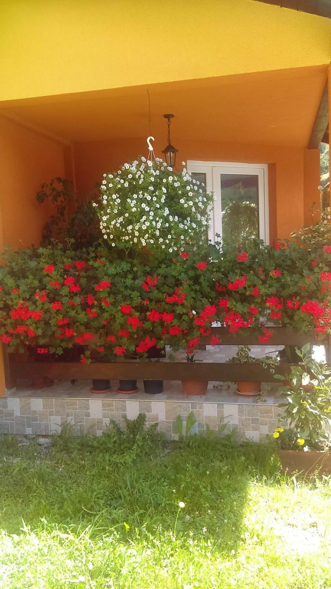 Ge-Lux Vila Incesti Exterior foto