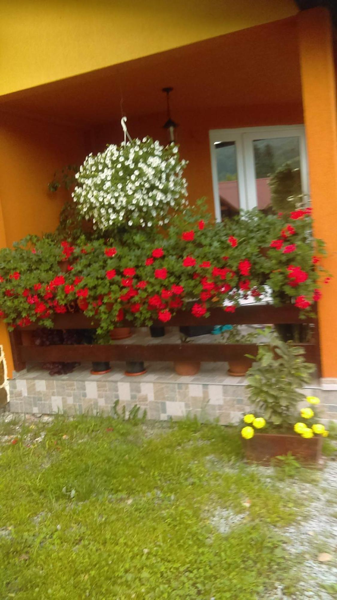 Ge-Lux Vila Incesti Exterior foto